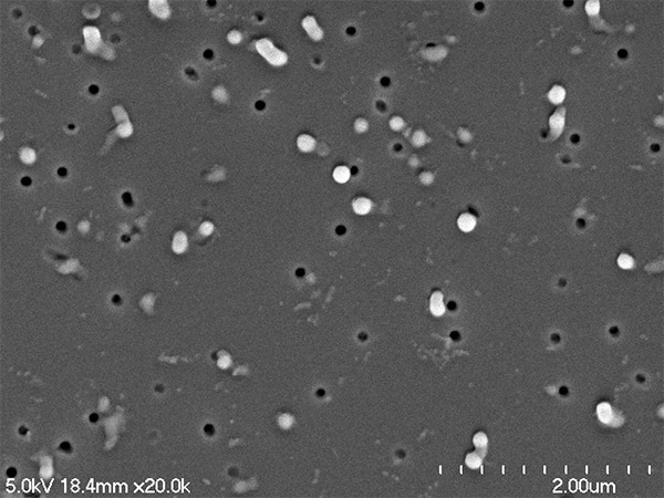 Electron microscopic image of antibody-labeled nonparticles