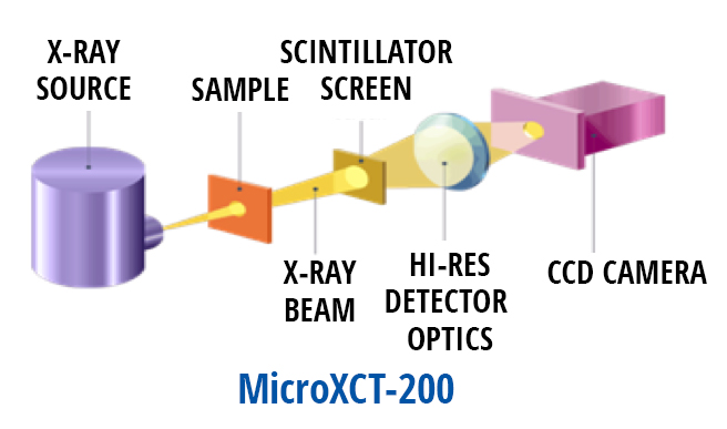 X-ray diagram