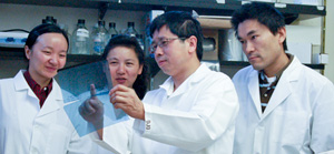 Experiments being performed