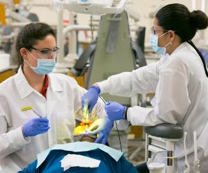 Dentist providing care to patient