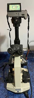 Canon M6 Mark II camera with microscope adapter attached to microscope