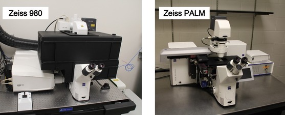 Zeiss