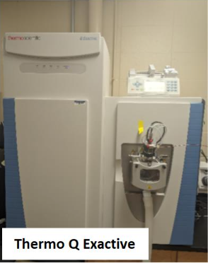 Thermo