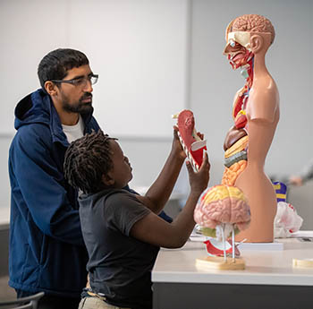 Child learning anatomy at Mini Medical School.