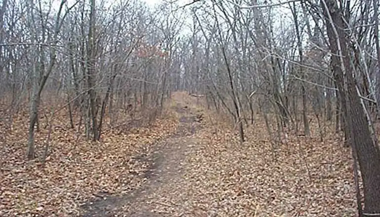 Wooded trail on the grounds of the Retreat Center