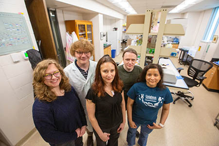Allison Coffin and her team in the lab.