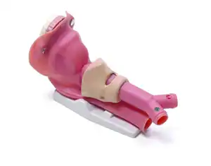 Airway Management