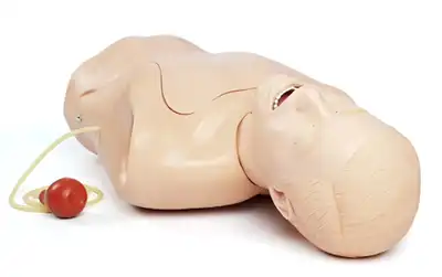 NG Tube and Trach Care Trainer