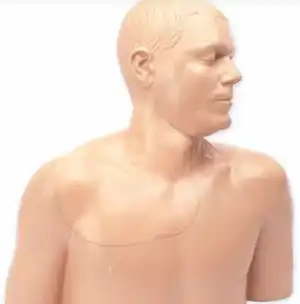 Head and shoulders model