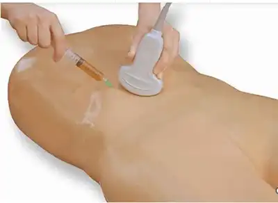 Midscapular simulation model