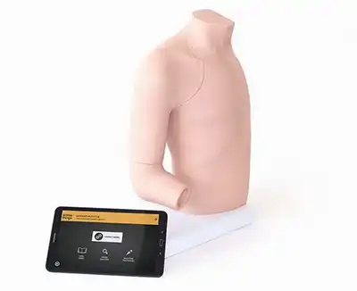 Shoulder injection model