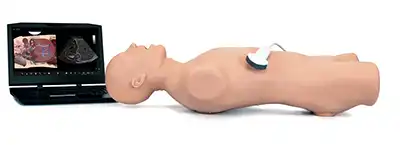 CAE Vimedix setup