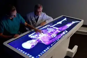 Anatomage Table