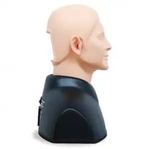 Ear Exam Model Simulator