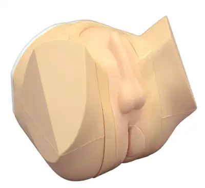Harvey Model