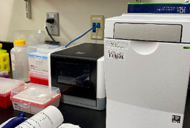 scRNA seq 10XGenomics