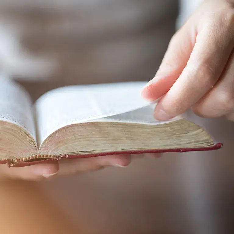 Hands holding a Bible