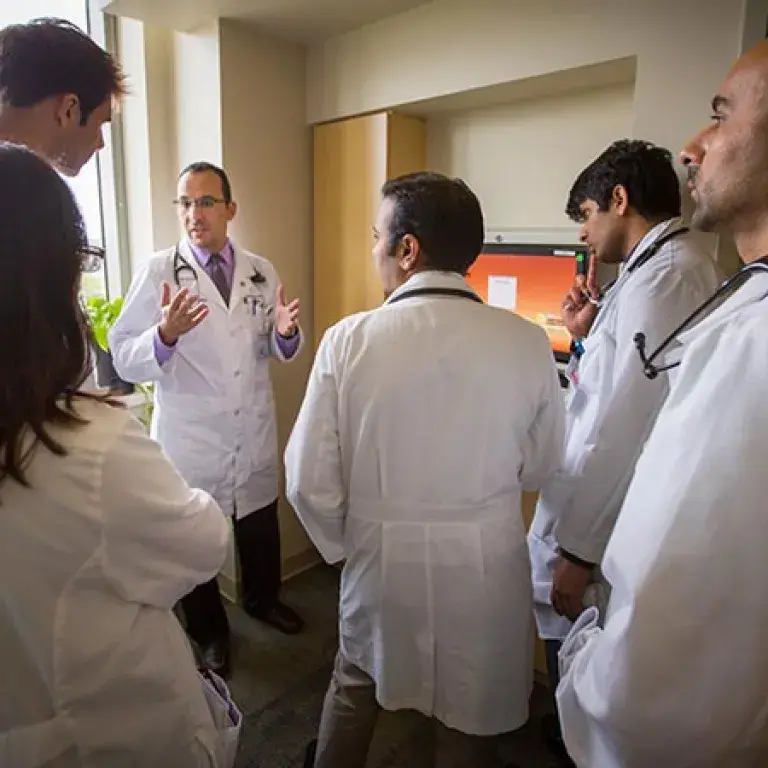 A group of medical professionals
