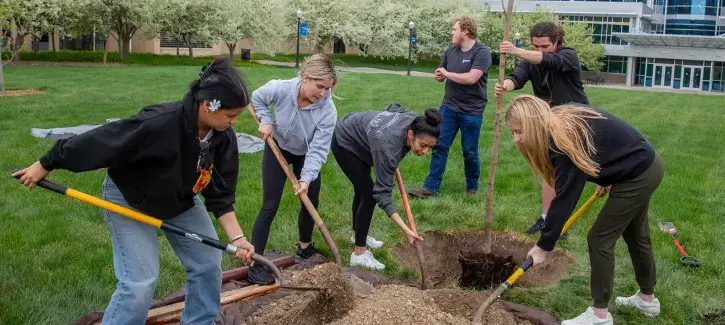 Students working together to plant trees.