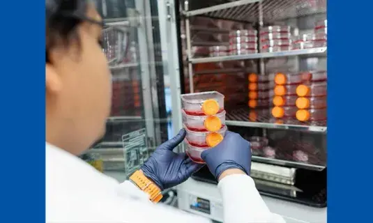 Biomedical researcher in lab