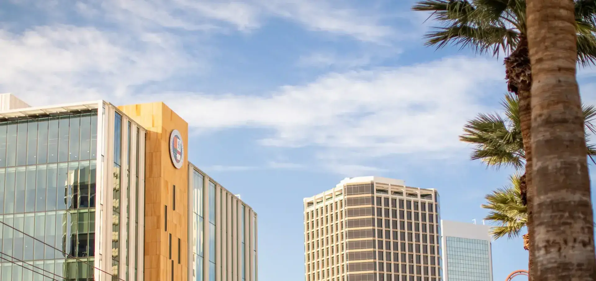 Phoenix campus exterior with palm trees.