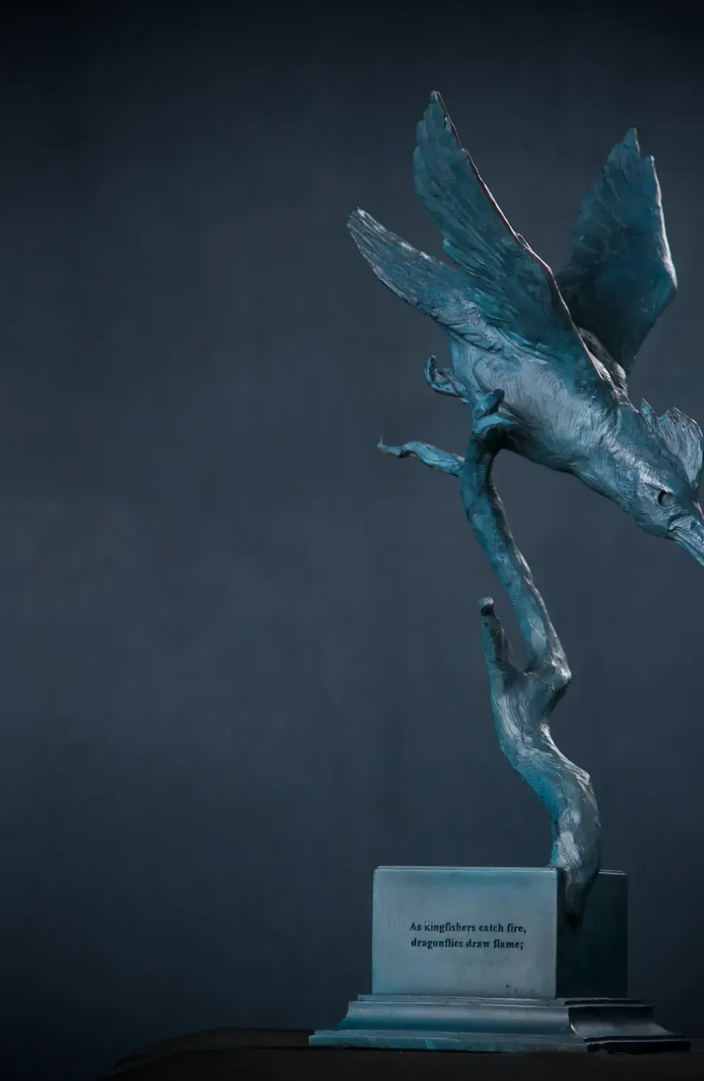 Kingfisher Award