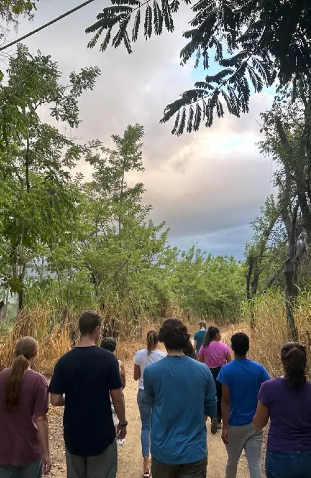 group walking down a road