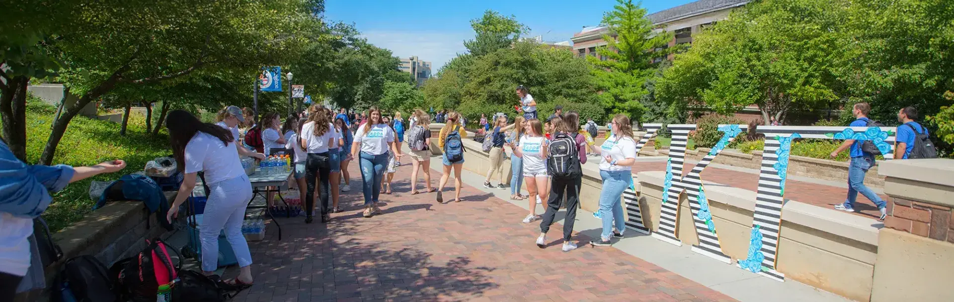 Students gathered on campus mall.