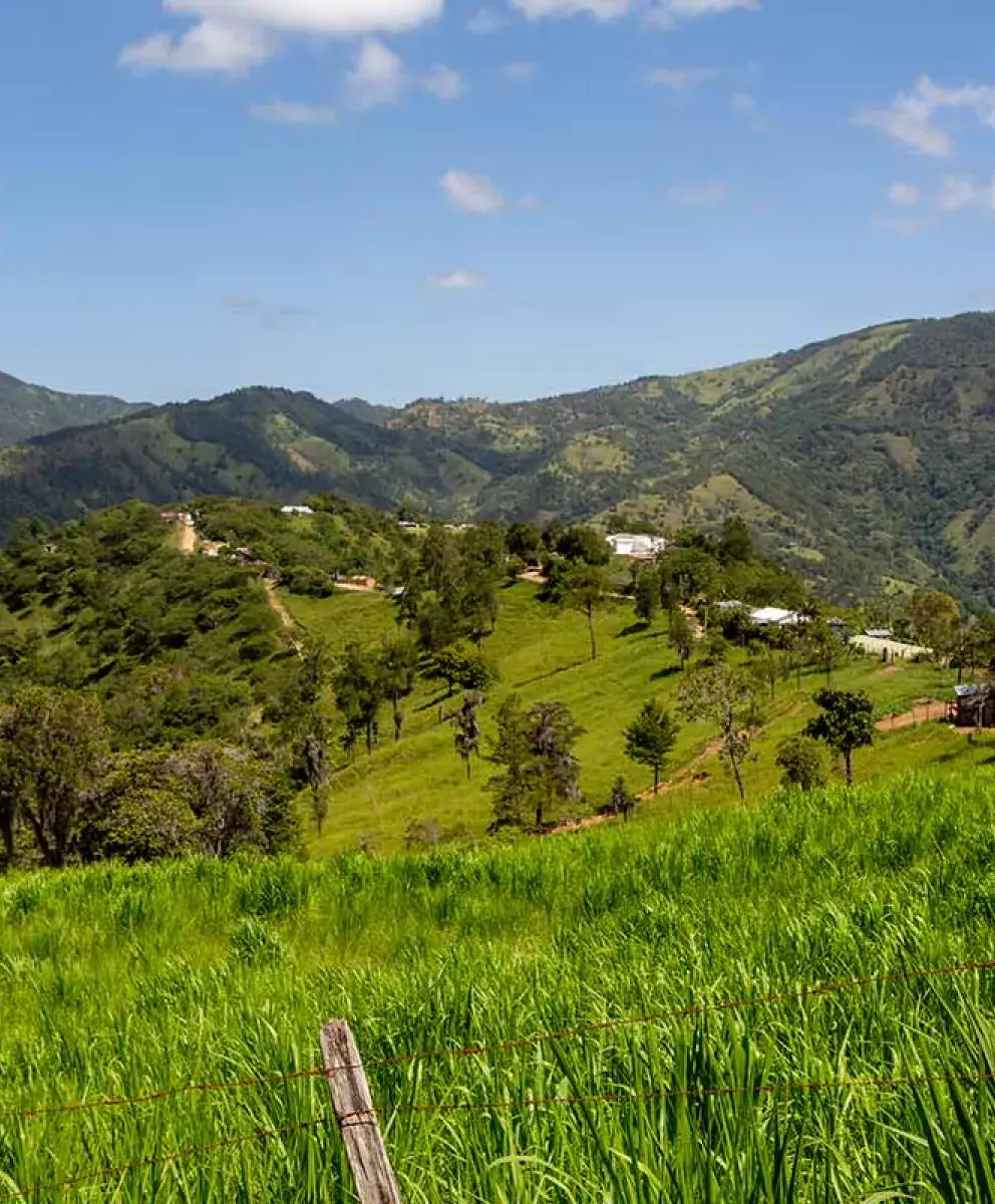 Dominican Republic landscape with green fields