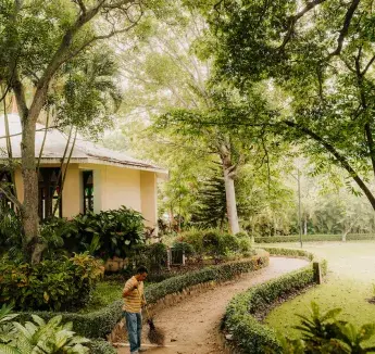 View of campus