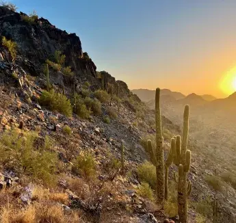 Sustaining the Sun’s Embrace​, Katrina Ostrom, School of Medicine