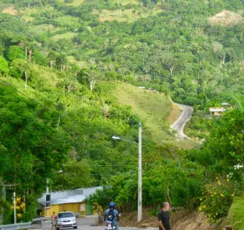 Las Calles de Los Higos, Steven Nguyen, College of Arts & Sciences​