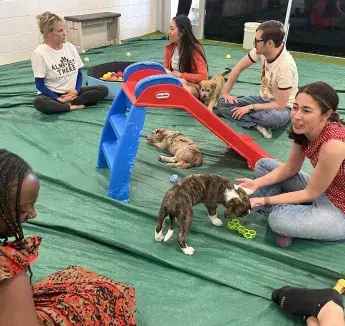 Spring Fellow Retreat 2