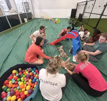 Spring Fellow Retreat 4