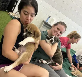 Spring Fellow Retreat 5