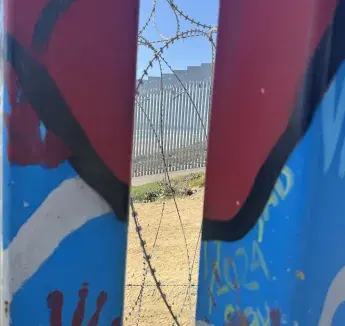 Abstract photo of razor wire.