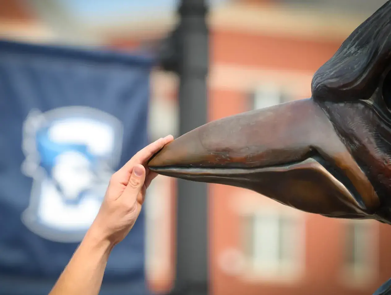 Touching Billys Beak.