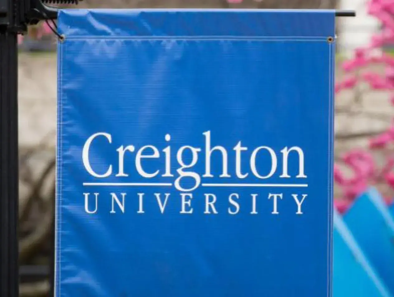 Creighton campus banner with spring blossoms on tree branches.