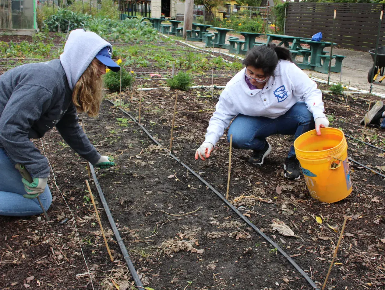 Community Gardening