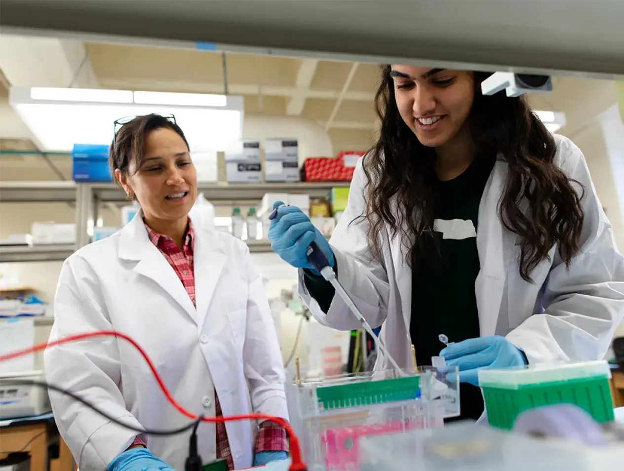 Science faculty observing student in lab