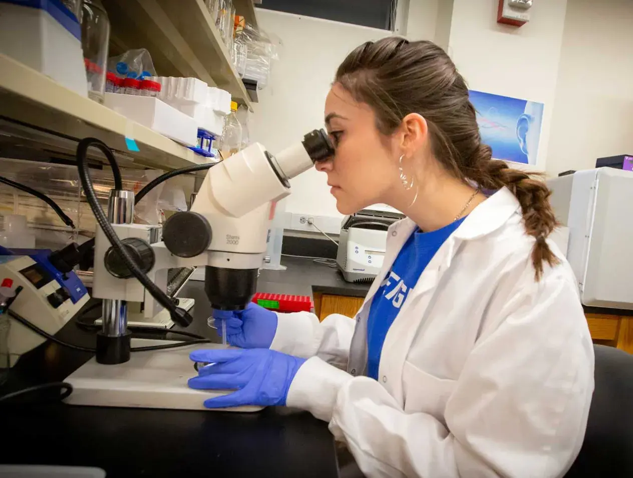 Student using microscope
