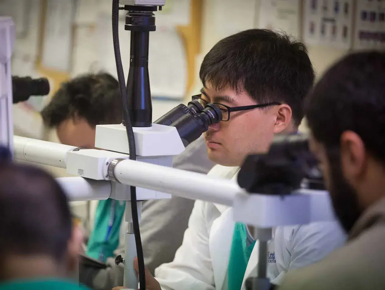Students using microscope