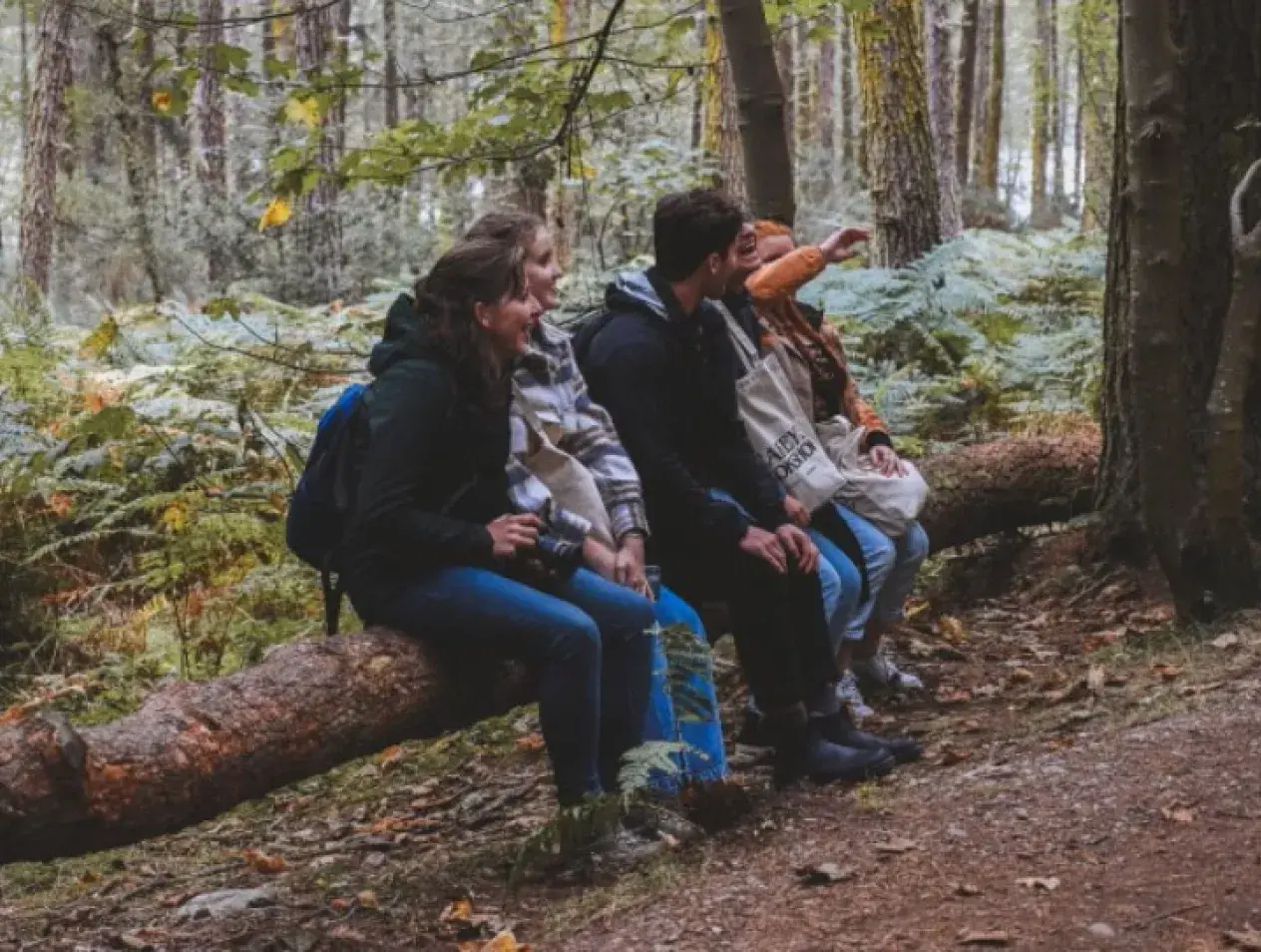 Honors Students in Scotland