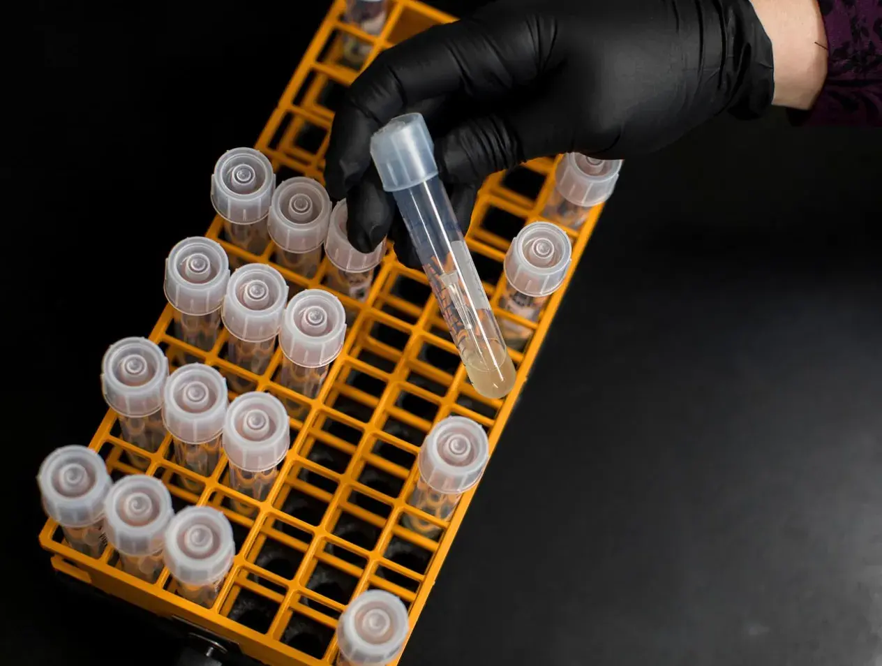 Samples in vials