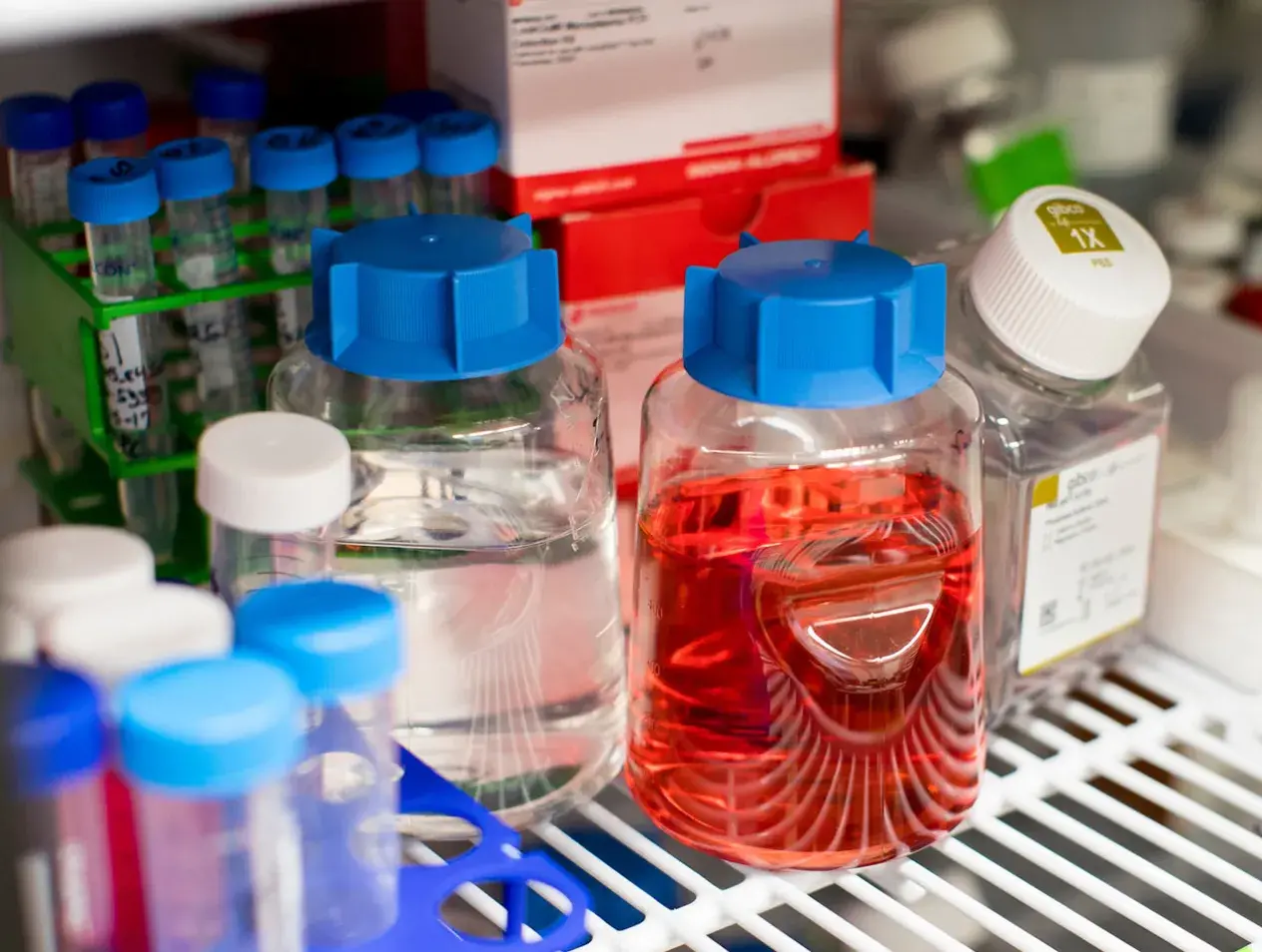 Biology lab fridge