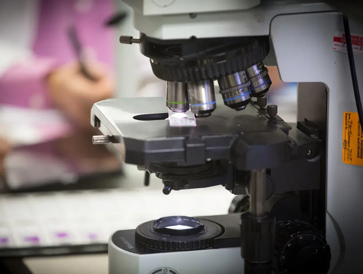 Pathology microscope