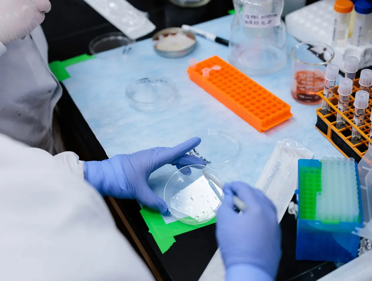 Student with petri dish