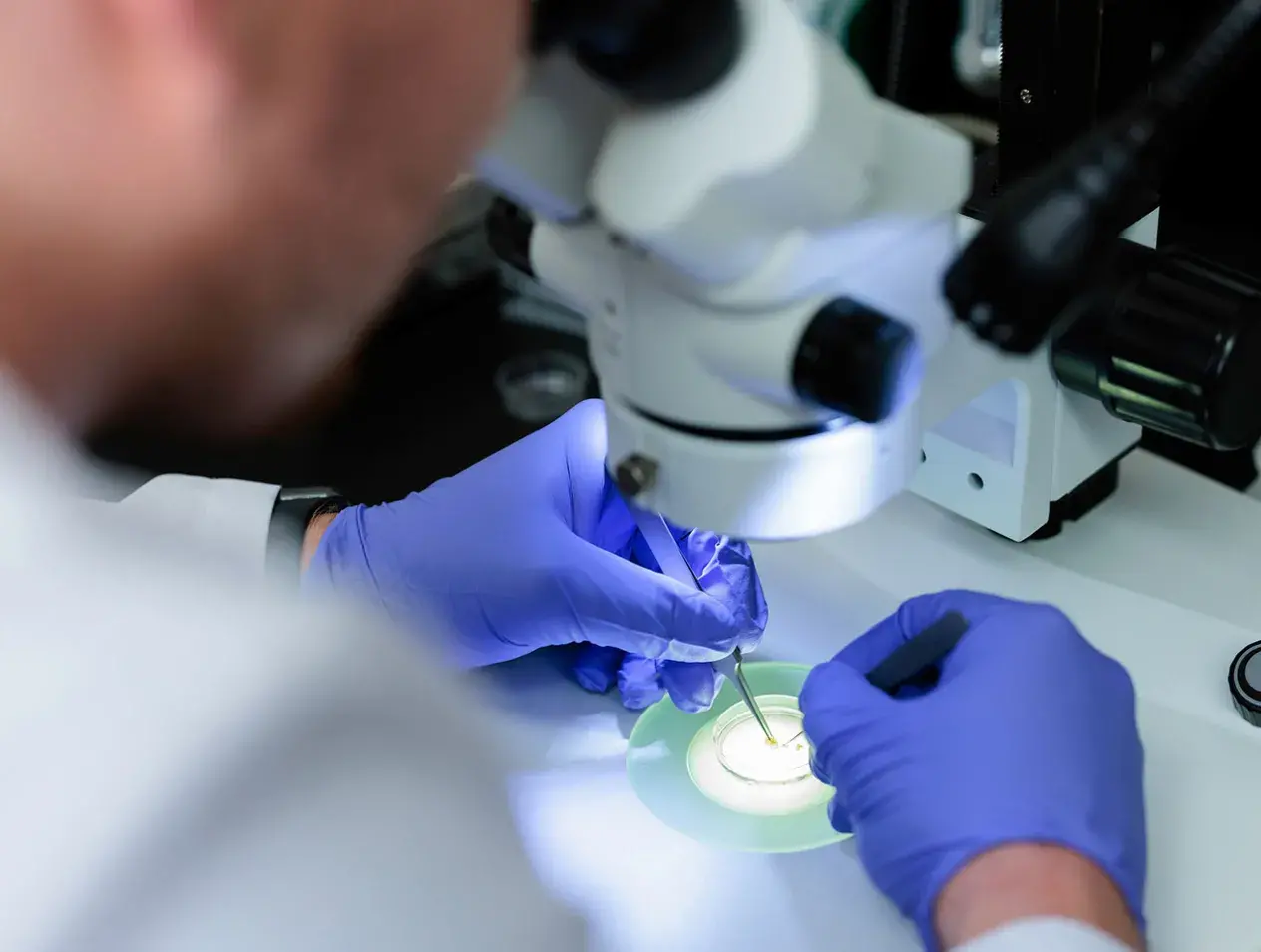 Student working with microscope in lab