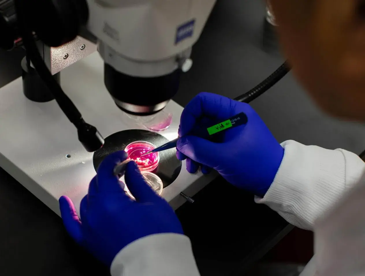 Research microscope