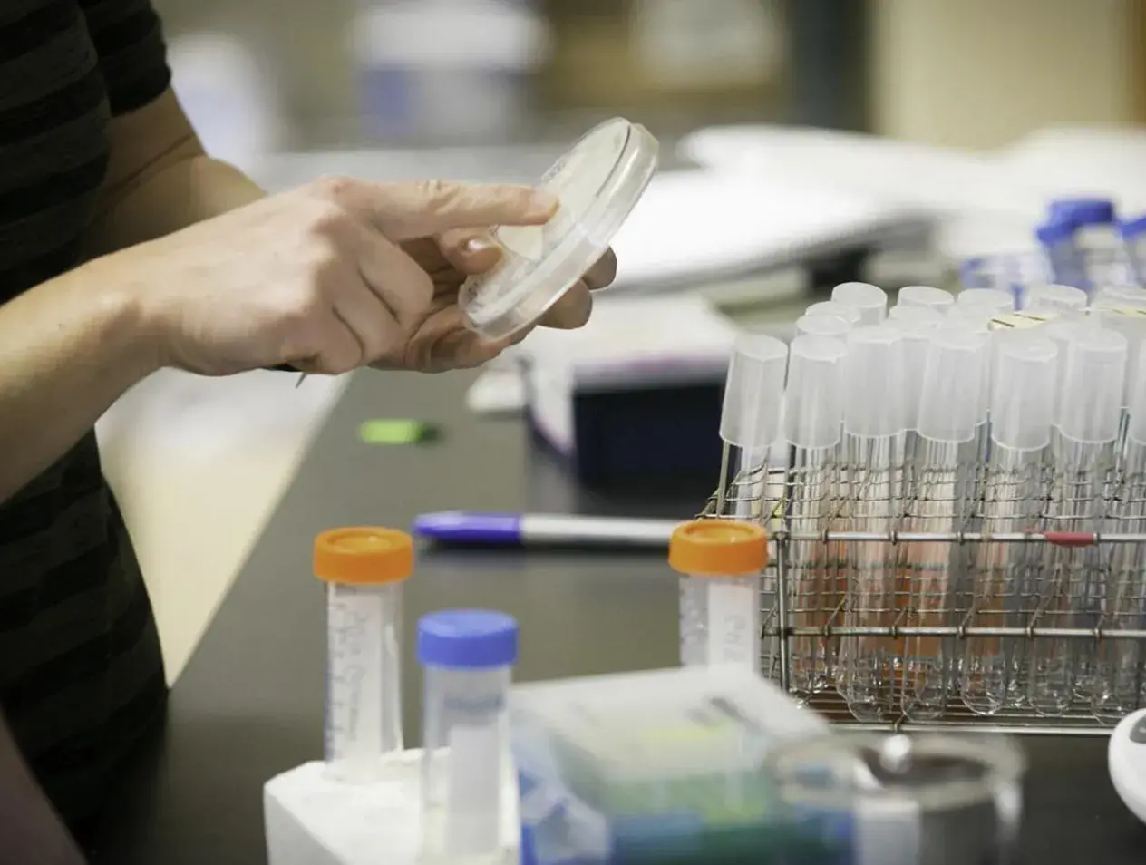 lab equipment